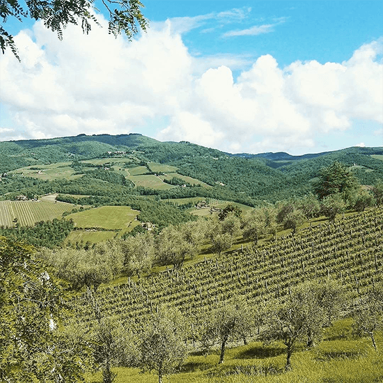 RaddaInChianti_Toscana (1)
